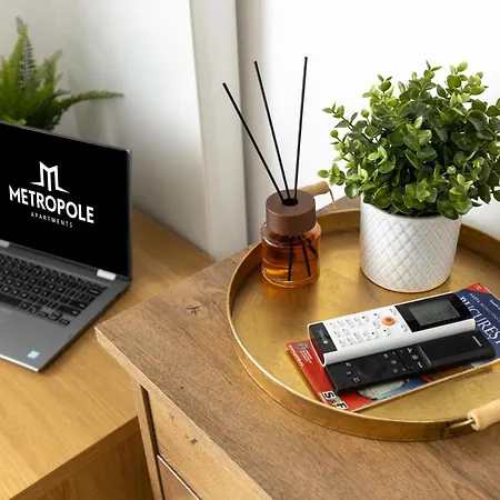 公寓 Metropole Panoramic Ateneum 布加勒斯特